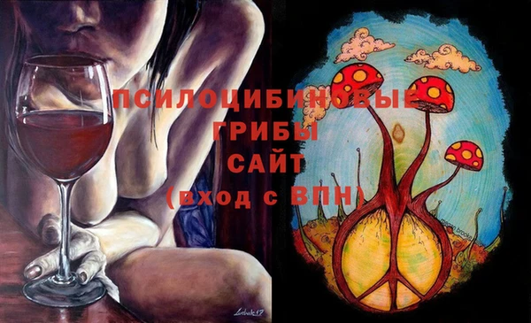 мдпв Кукмор