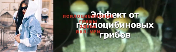 мдпв Кукмор