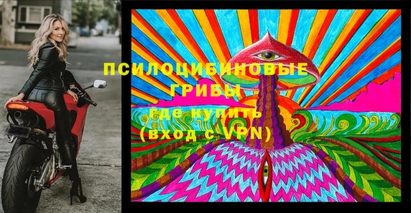 мдпв Кукмор