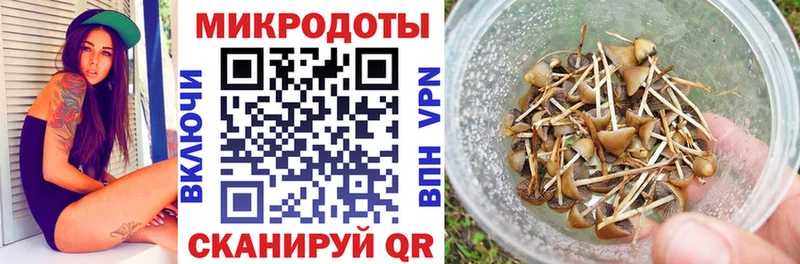 Купить закладки  Евпатория  Псилоцибиновые грибы GOLDEN TEACHER 